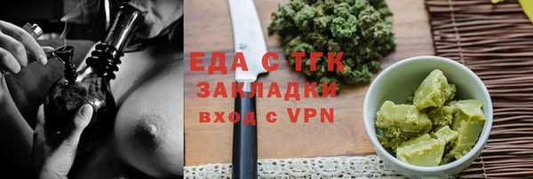 индика Елабуга