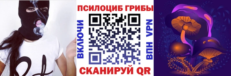 Галлюциногенные грибы Psilocybe  гидра ссылки  Котлас  наркотики 