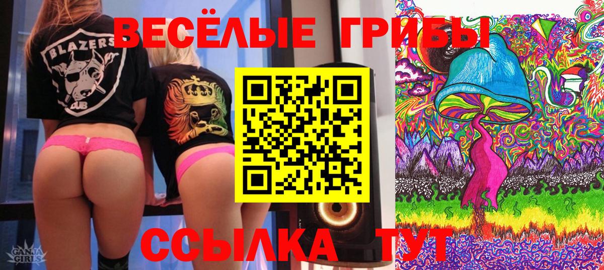 Котлас  Галлюциногенные грибы мицелий  купить наркотик  Вход с VPN 