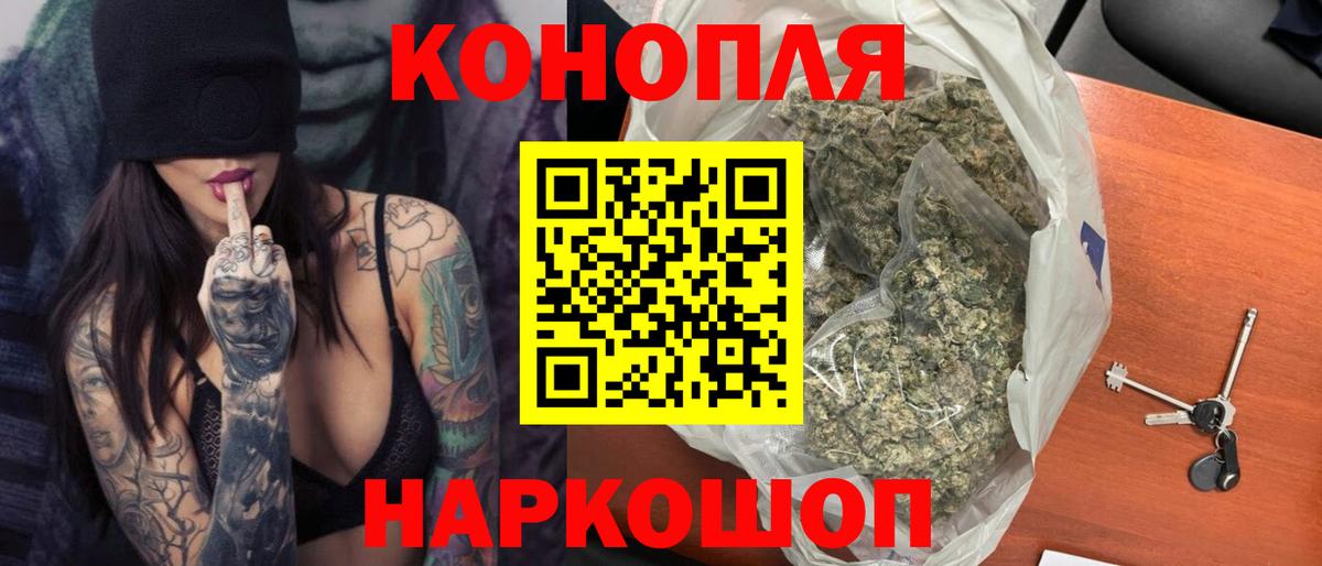 Бошки Шишки сатива Котлас